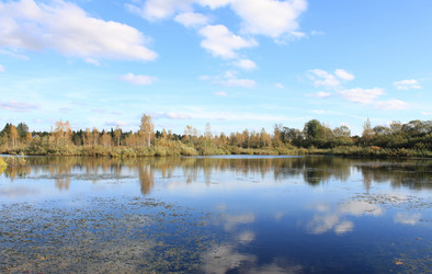 Similar image 310538