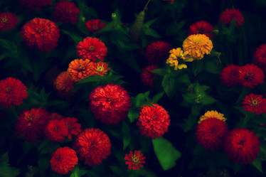 Similar image 310547