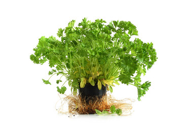 Similar image 310555