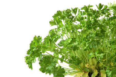 Similar image 310556