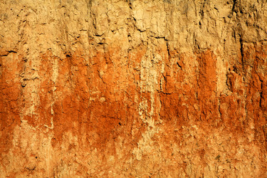 Similar image 310563