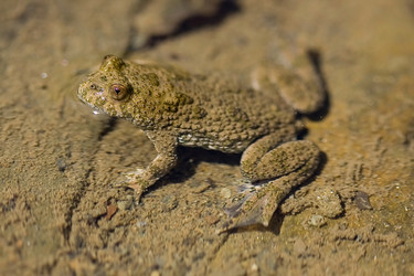 Similar image 310571