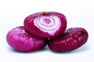 Similar image 310578