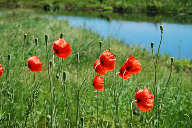 Similar image 310579