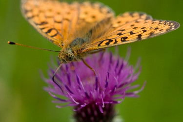 Similar image 310604