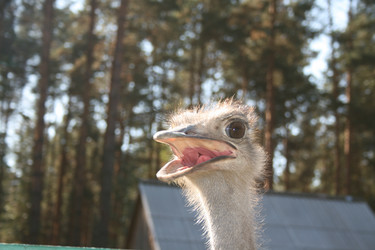 Similar image 310627