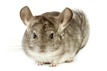 Similar image 310631