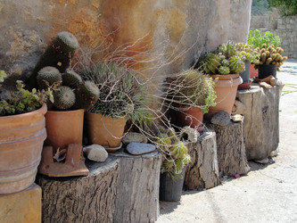 Similar image 310635