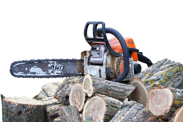 Similar image 310637