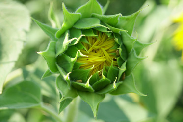 Similar image 310638