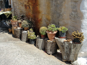 Similar image 310640