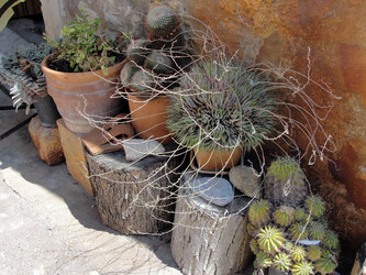 Similar image 310641