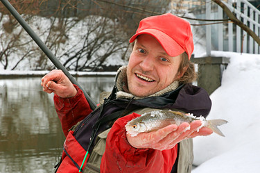 Similar image 310647