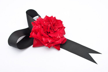 Similar image 310662