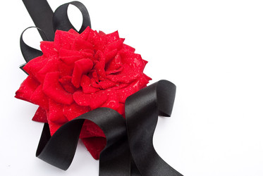 Similar image 310663