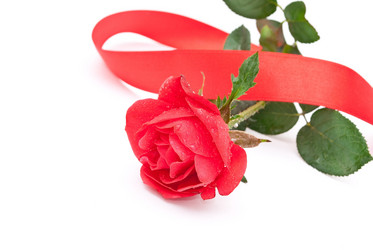 Similar image 310669