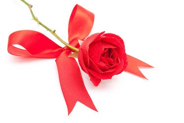 Similar image 310670