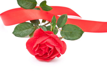 Similar image 310671