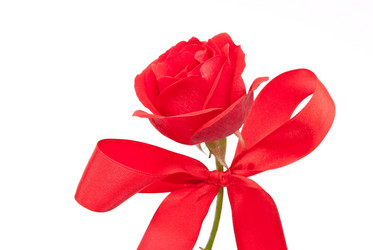 Similar image 310672