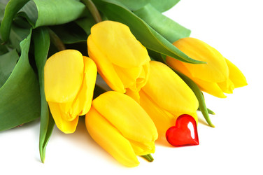 Similar image 310711