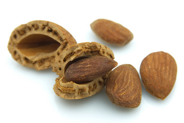 Similar image 310728