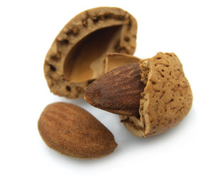 Similar image 310729