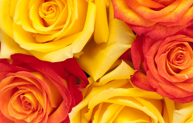 Similar image 310731