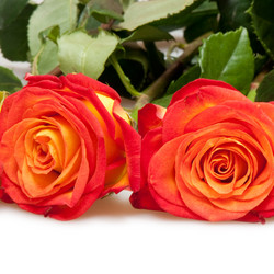 Similar image 310732