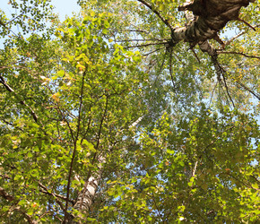 Similar image 310754