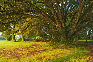 Similar image 310755