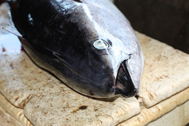 Similar image 310803