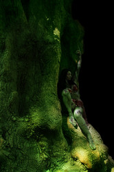 Similar image 310806