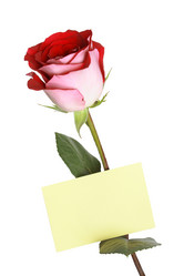 Similar image 310837