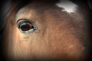 Similar image 310843