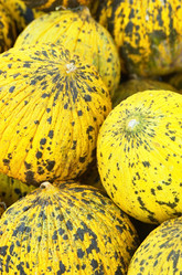 Similar image 310851