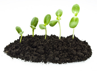 Similar image 310853