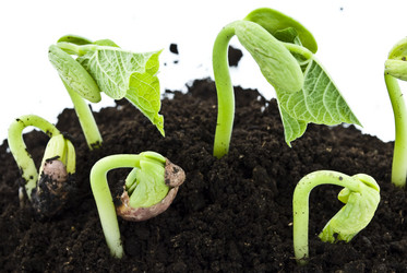 Similar image 310854