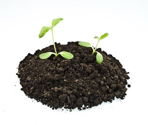 Similar image 310855