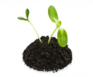 Similar image 310857