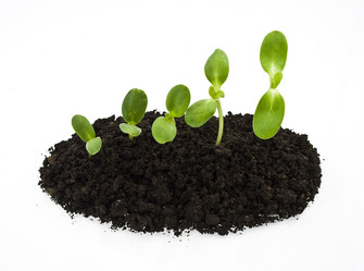 Similar image 310858