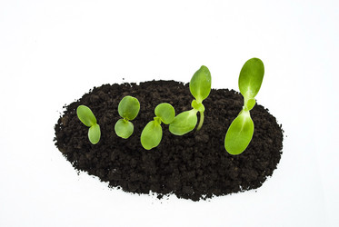 Similar image 310861