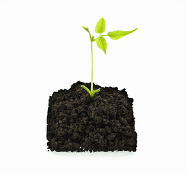 Similar image 310863