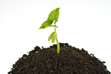 Similar image 310864