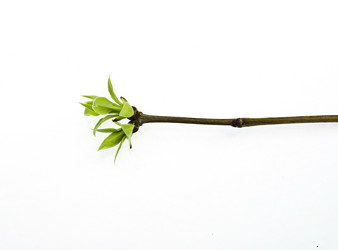 Similar image 310870