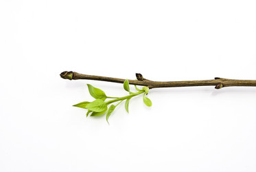 Similar image 310871