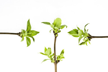 Similar image 310873