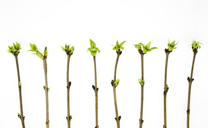 Similar image 310874