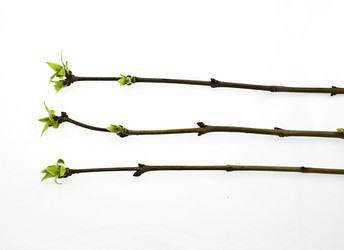 Similar image 310875