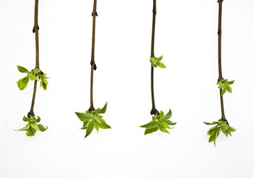 Similar image 310876