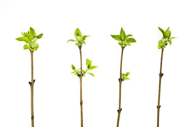 Similar image 310877